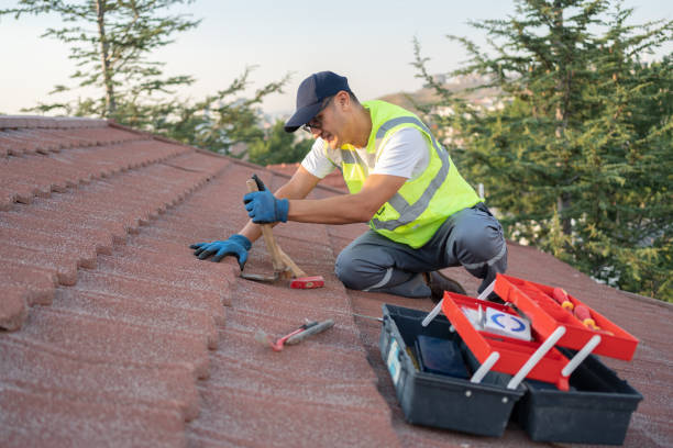 Best Metal Roofing Contractor  in Mound Bayou, MS