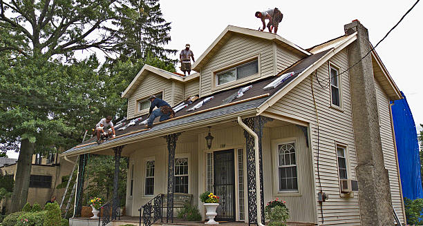 Best Roof Maintenance Services  in Mound Bayou, MS